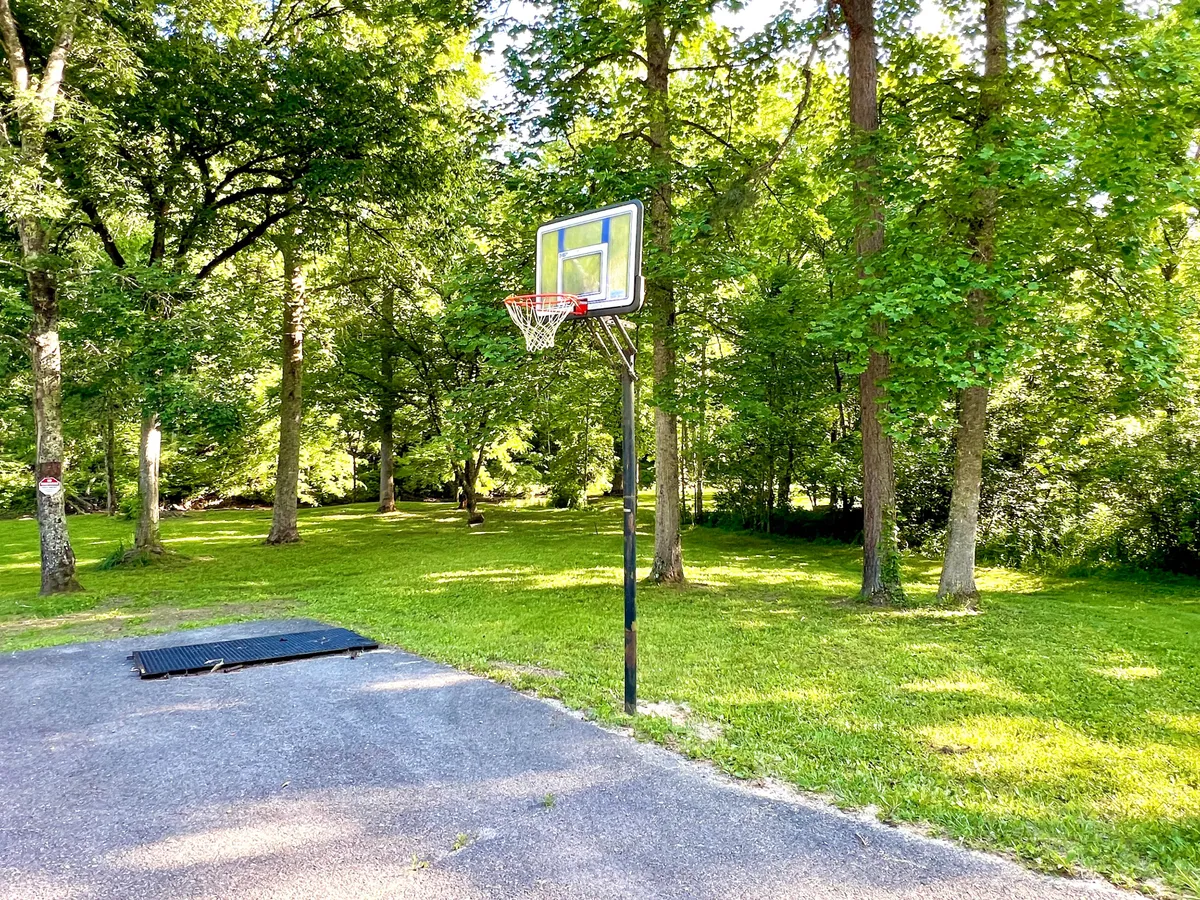 This image features a basketball hoop set in a wide, flat grassy yard surrounded by mature, leafy trees. The open space provides plenty of room for both sports and pet play, and the trees offer ample shade. The setting is playful yet serene, inviting guests to enjoy physical activities or watch their dogs explore the safe, open environment.